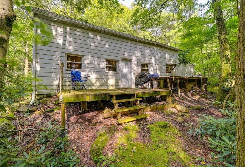 Serene Centre Hall Cabin W/ Stream On Site!