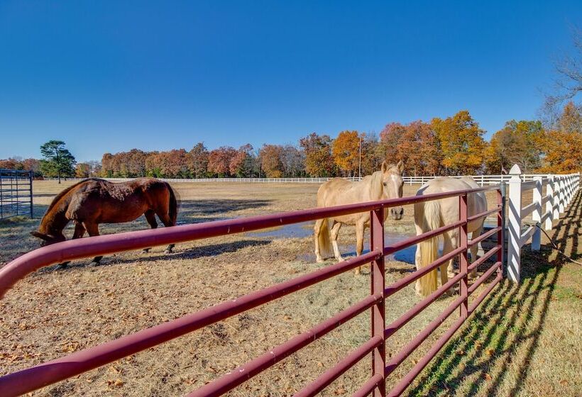 Spacious Retreat W/ Stunning Norfork Lake Views!