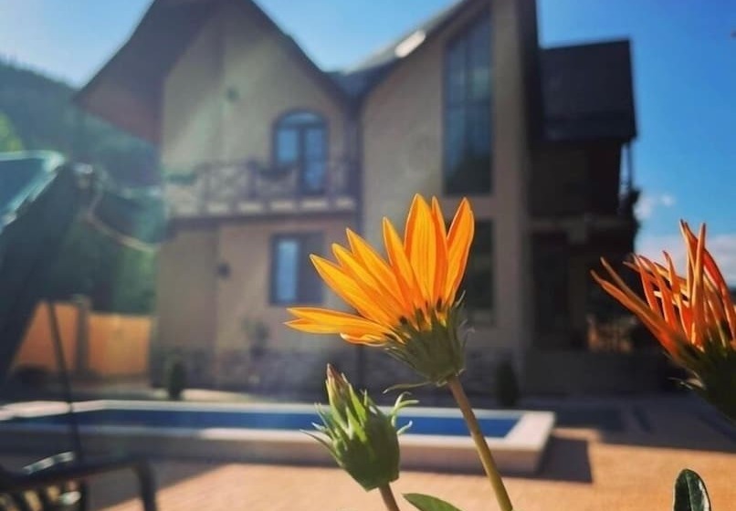 Villa Alexander Hotel Dilijan