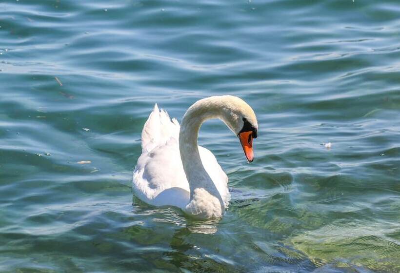 Becozy Du Lac Self Check In Hotel Riviera Edition