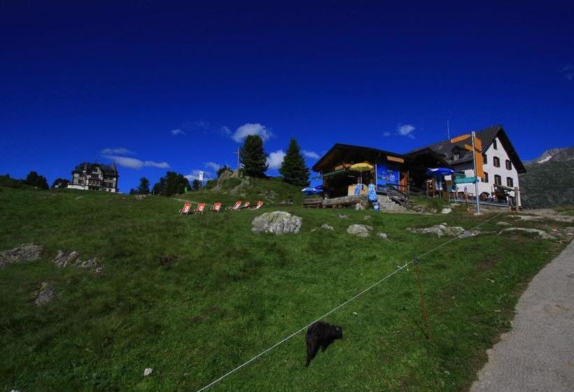 Berghotel Riederfurka