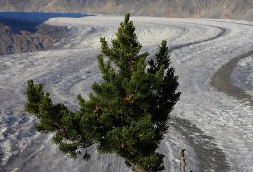 Berghotel Riederfurka