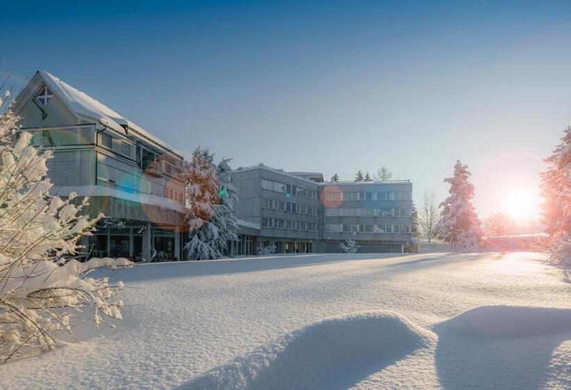Отель Allegro Einsiedeln