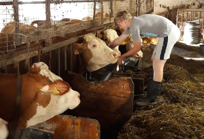 בית מלון כפרי Bauernhof Waira