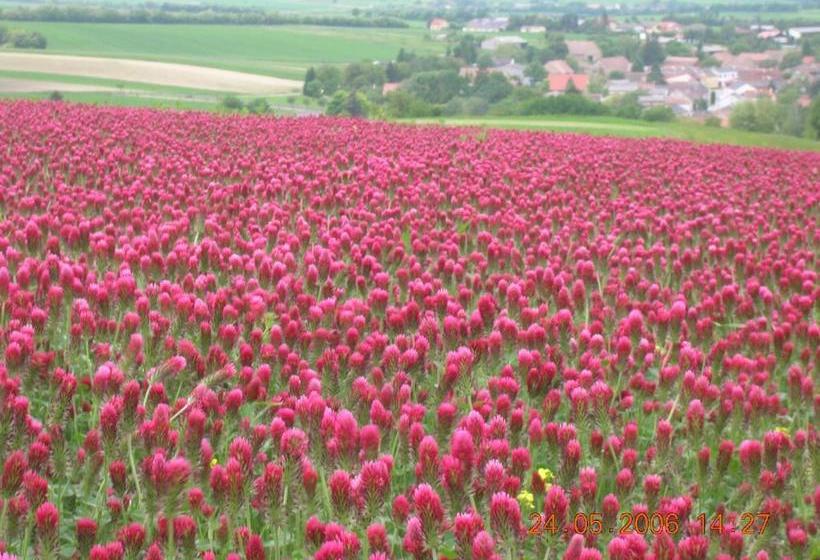 فندق Weinbauernhof Vier Jahreszeiten