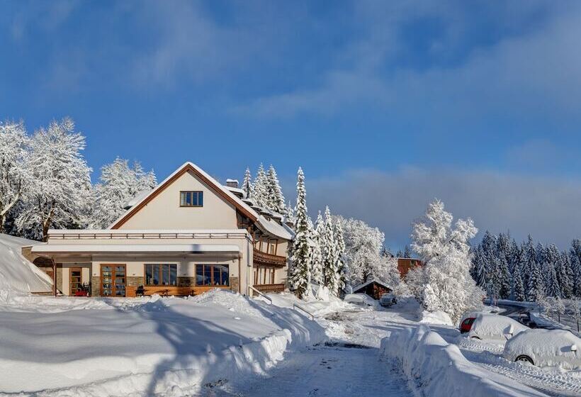 酒店 Bödele Alpen