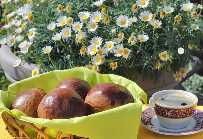 בית מלון כפרי Bellis