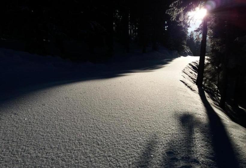 酒店 Berghaus Koglmoos