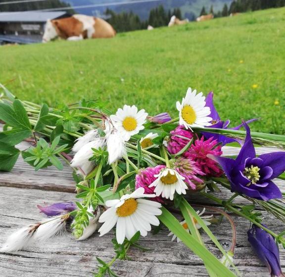 酒店 Berghaus Koglmoos