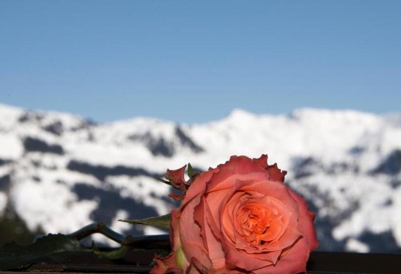 酒店 Berghaus Koglmoos