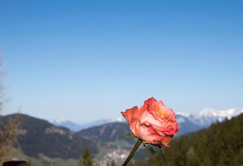 酒店 Berghaus Koglmoos