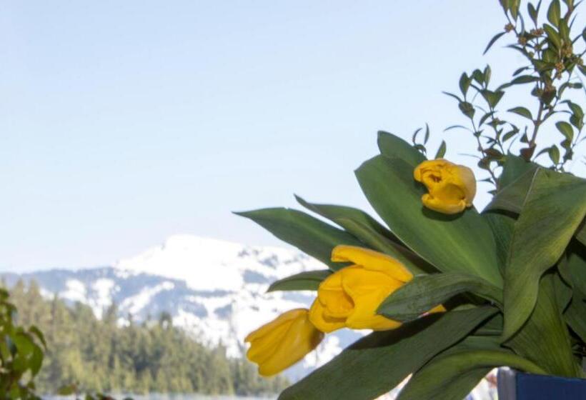 酒店 Berghaus Koglmoos