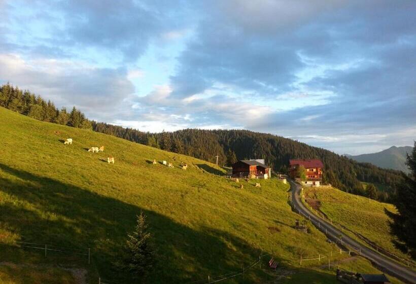 酒店 Berghaus Koglmoos