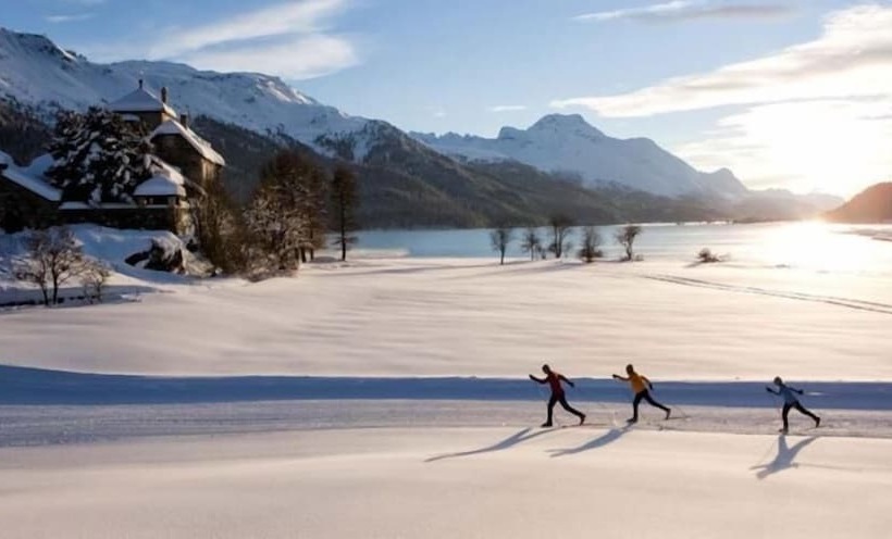 فندق Bever Lodge