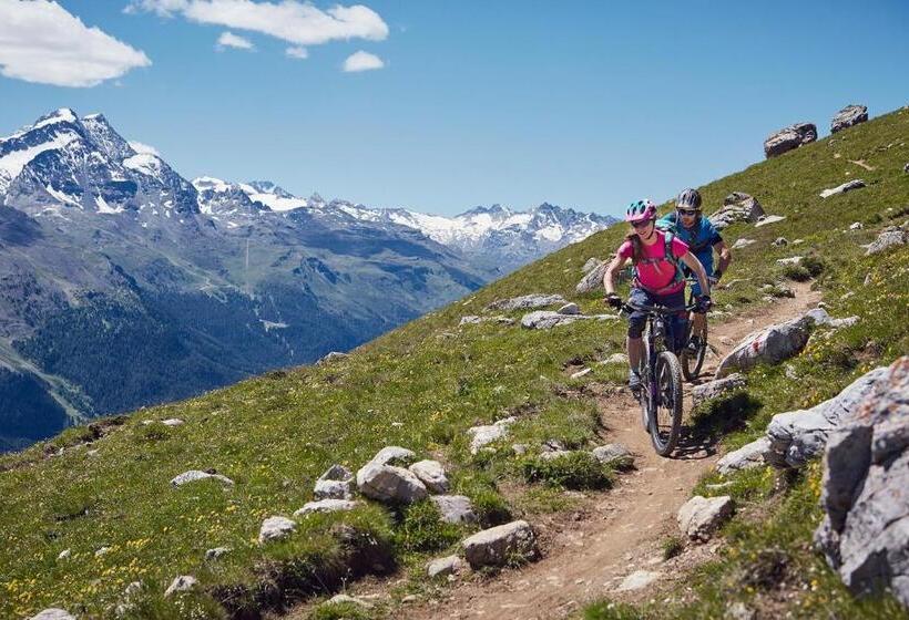 فندق Bever Lodge