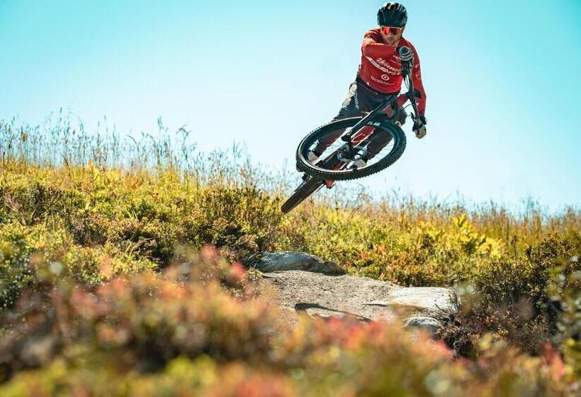 בית מלון כפרי Catrina