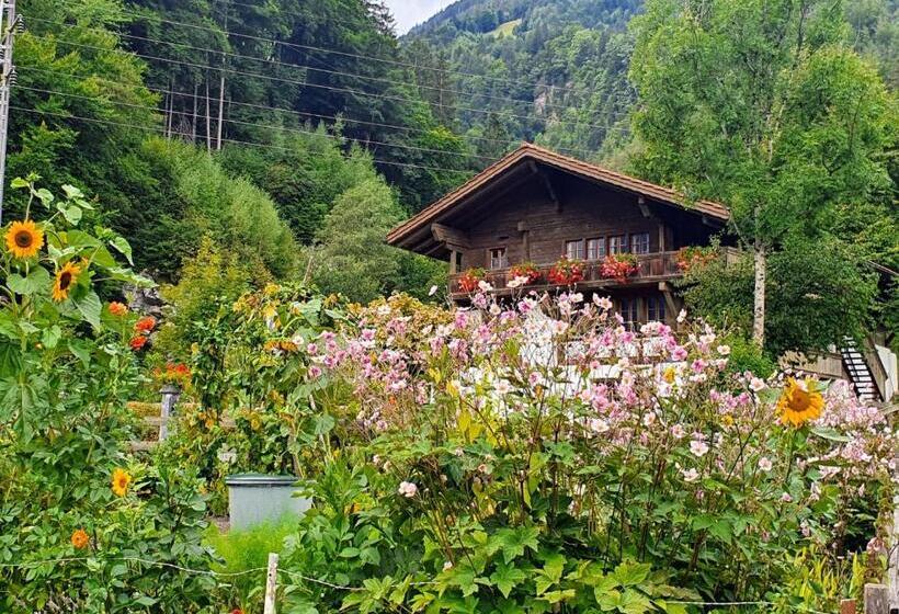 בית מלון כפרי Chalet Gafri   Bnb   Frühstückspension Und Gastfreuncschaft