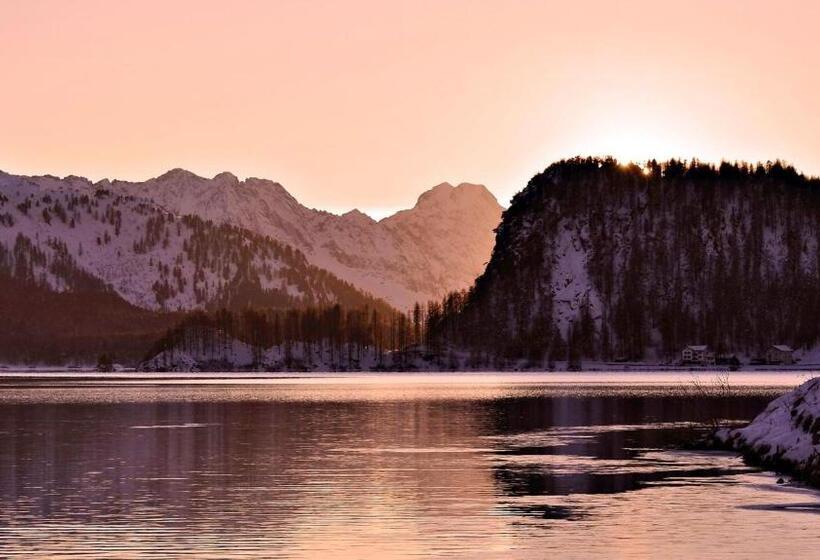 ホテル Chesa Grischa