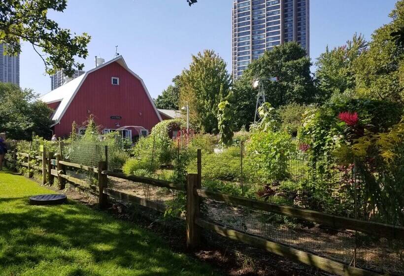 בית מלון כפרי Chicago Guest House Wrigleyville