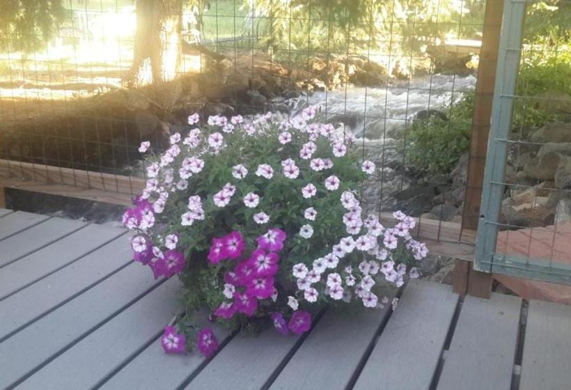 فندق Creek Side Bed And Breakfast