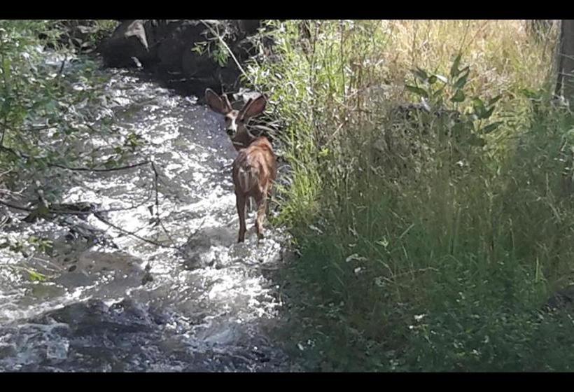 فندق Creek Side Bed And Breakfast