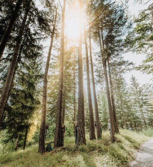 בית מלון כפרי Der Löffler Am Semmering Bed&breakfast