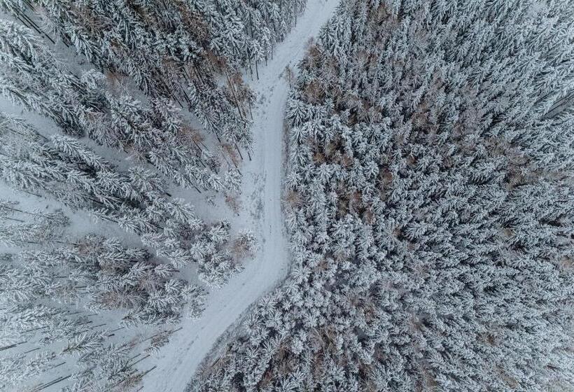 בית מלון כפרי Der Löffler Am Semmering Bed&breakfast