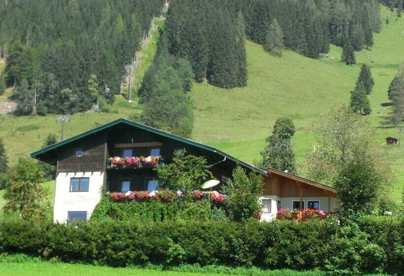 فندق Ferienhaus Regina