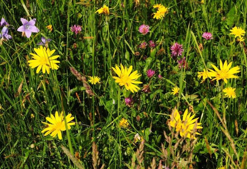 فندق Ferienhof Margarethengut