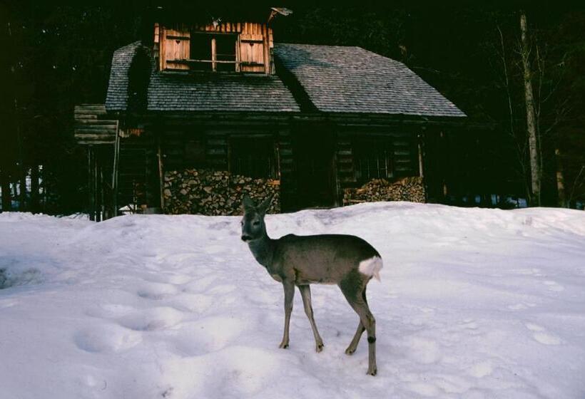 فندق Ferienhof Margarethengut