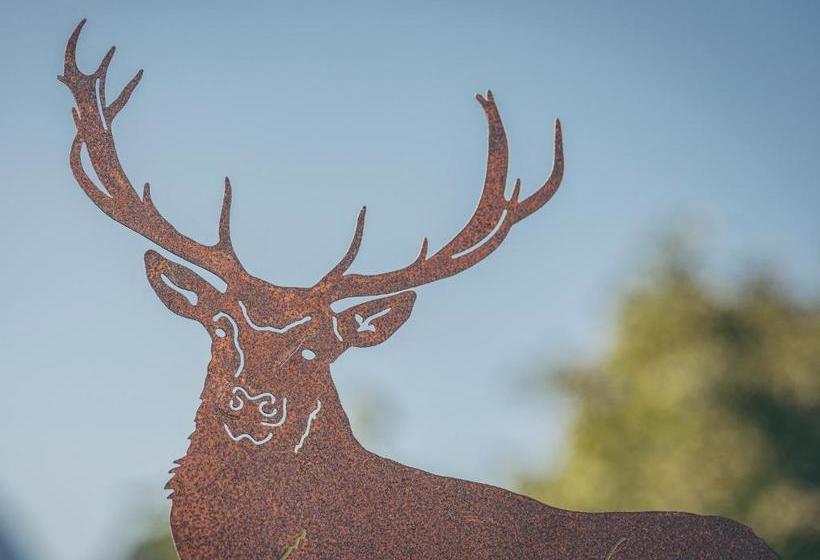 酒店 Ferienwohnungen Aschenwald Elisabeth