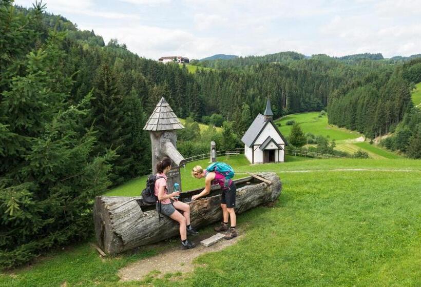 בית מלון כפרי Fürst