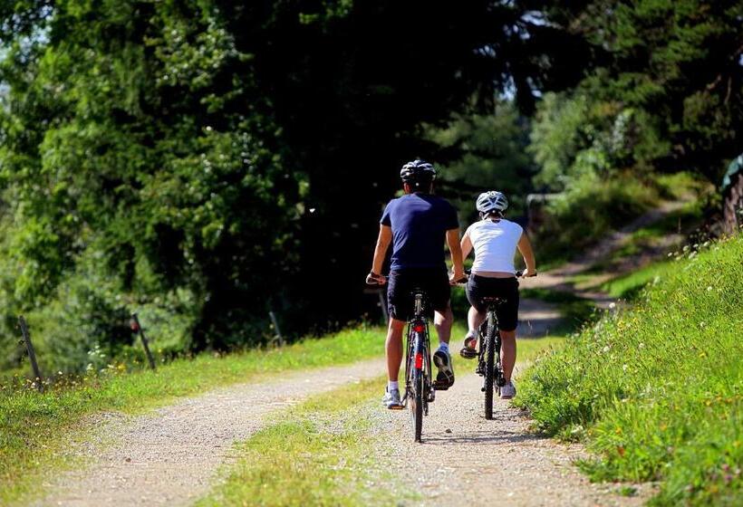 בית מלון כפרי Fürst