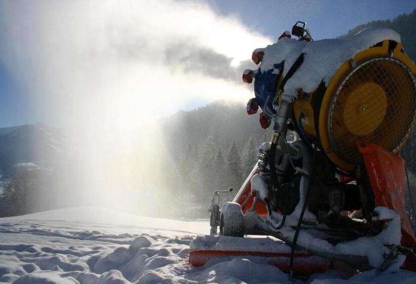 בית מלון כפרי Gasthof Zum Lendwirt