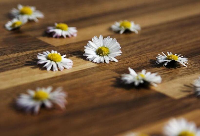 בית מלון כפרי Gazauner Hof