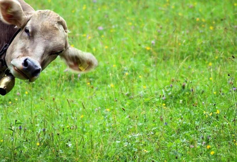 בית מלון כפרי Gazauner Hof