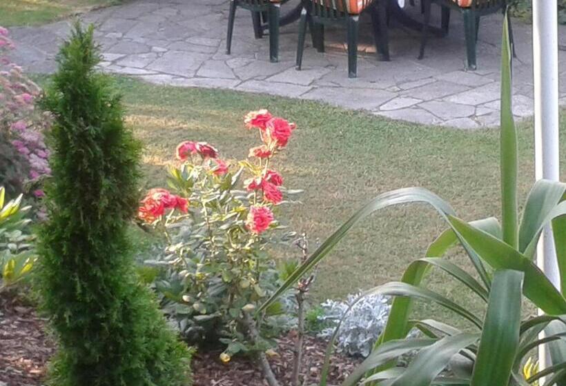 בית מלון כפרי Gästehaus Bärwald