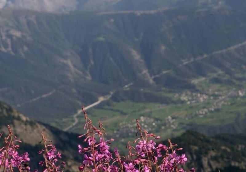 בית מלון כפרי Hamilton Lodge & Spa