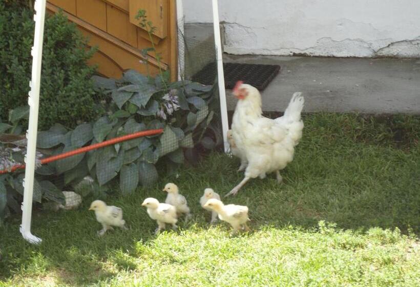 בית מלון כפרי Haus Dorfblick