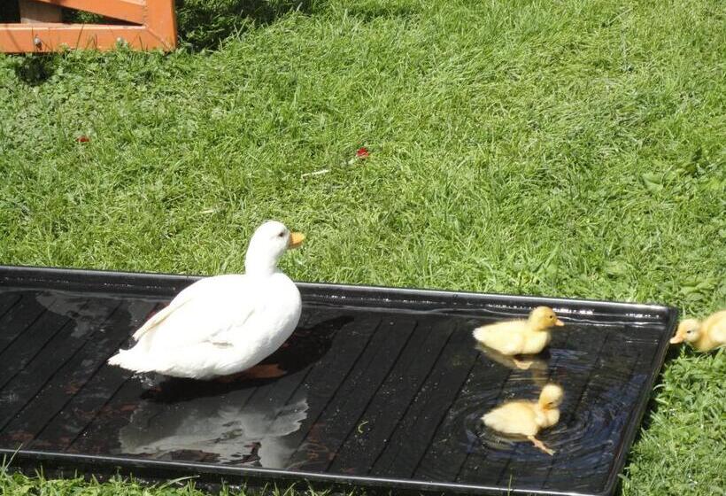 בית מלון כפרי Haus Dorfblick