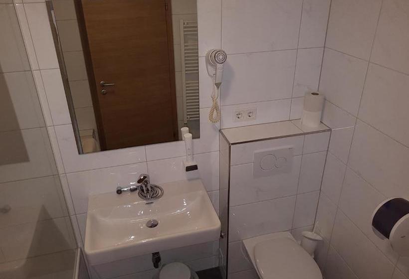 ホテル Haus Piesendorf