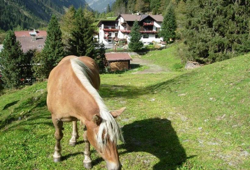 Отель Haus Waldheim