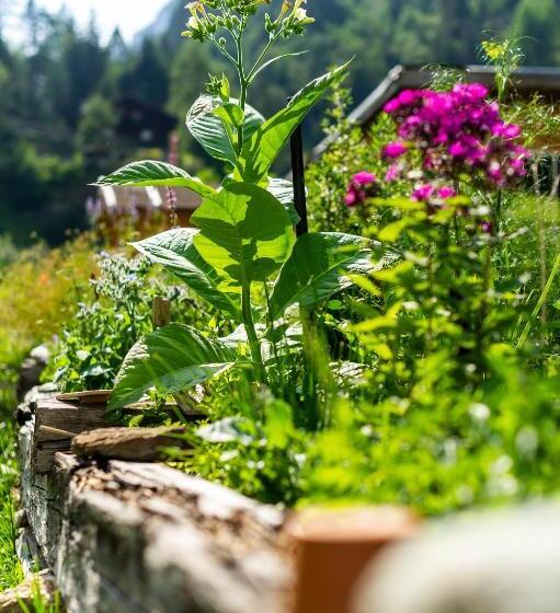 בית מלון כפרי Heimat   Das Natur Resort