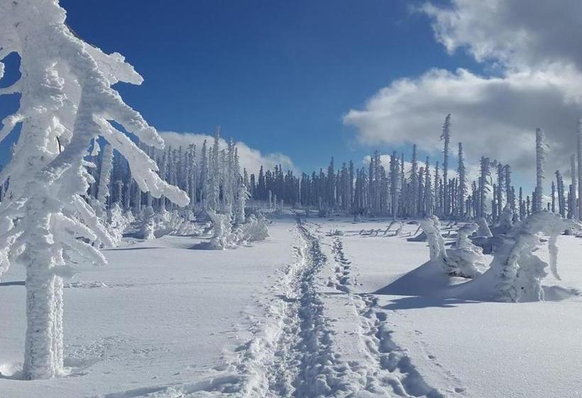 هتل Hochfichtblick Apartments