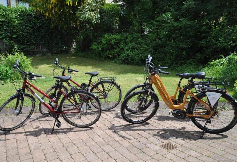 Отель Knaller Möd