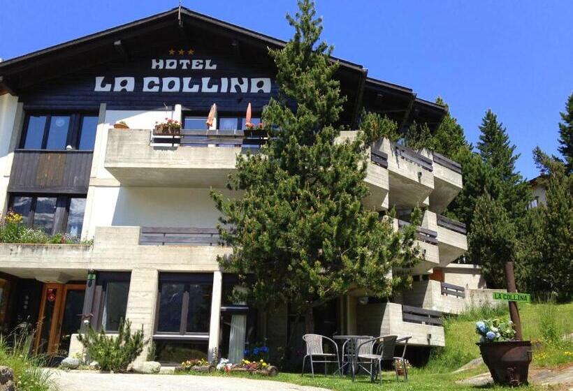 酒店 La Collina