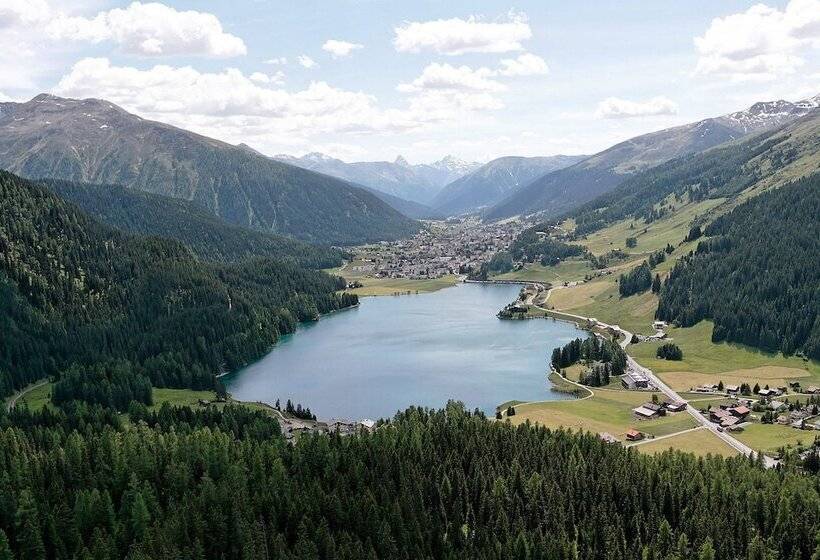 בית מלון כפרי Morosani Fiftyone   The Room Only