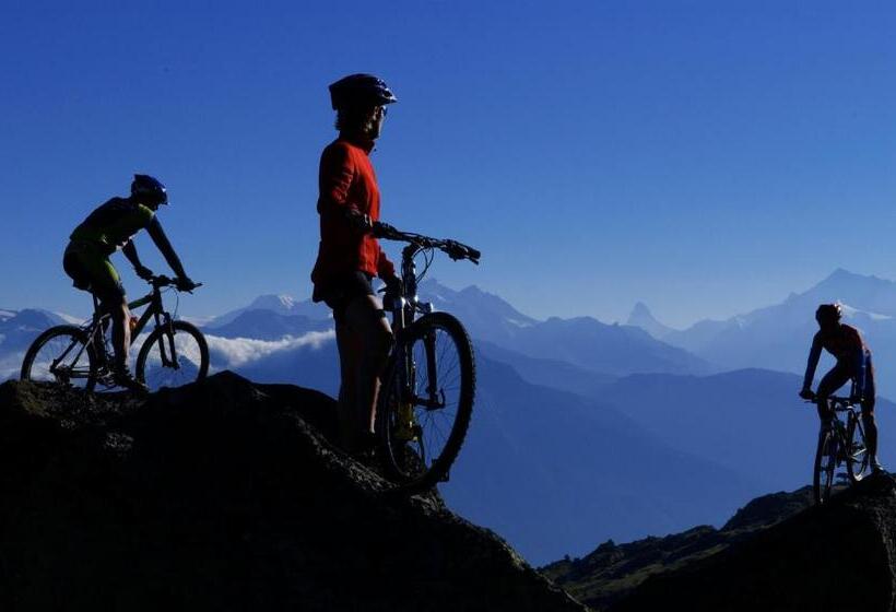 בית מלון כפרי Park