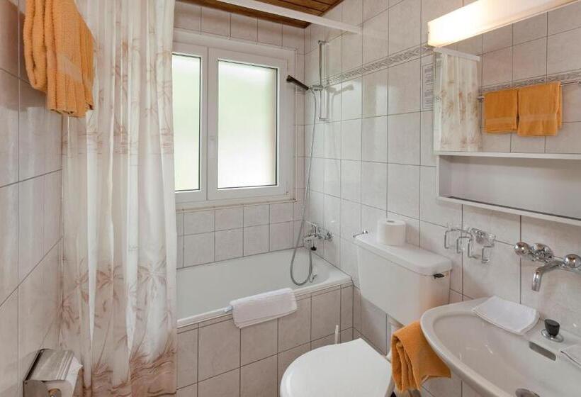 בית מלון כפרי Park