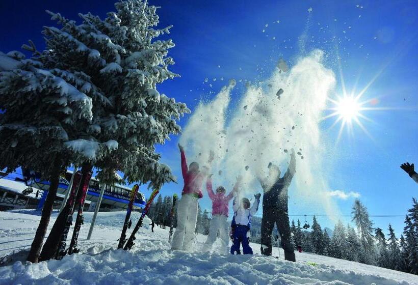 فندق Frühstückspension Bachseitenhof